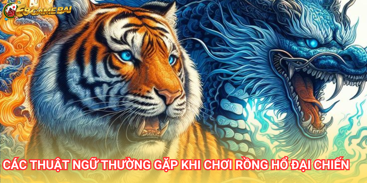 Nắm vững các thuật ngữ sẽ giúp người chơi đưa ra quyết định chính xác khi chơi Rồng Hổ đại chiến